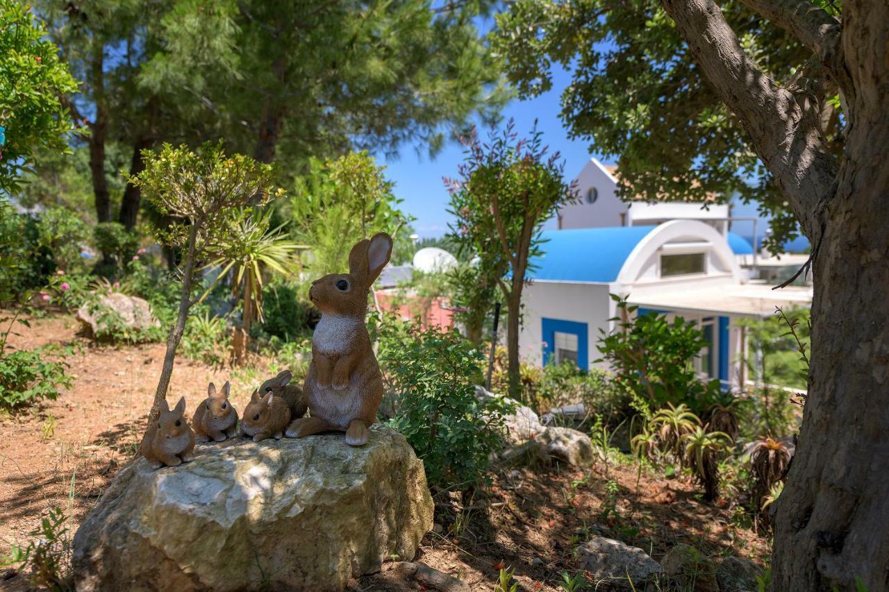 Grande Dame Villa Of Rhodes Ασγούρου Εξωτερικό φωτογραφία